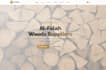 design brand portfolio websites