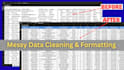 clean, format, marge and organize excel data professionally