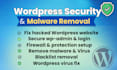 fix hacked wordpress, remove malware and blacklist