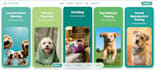 build websites, full stack, user interactive, engaging web dev