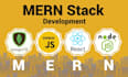 develop a professional mern stack saas web application or dashboard using mern