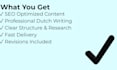 write SEO blog articles in dutch for your website