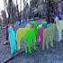 do object detection and  segmentation using yolo and sam