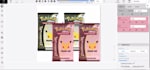 custom image annotation, segmentation, data labeling for ai and ml