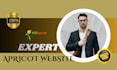 build and develop professional  wild apricot website