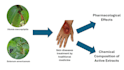 write SEO articles on skin problems and natural remedies