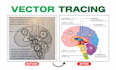 do logo vektorisieren, image to vector, vector tracing within 2 hours