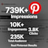 grow your pinterest fast with 100 SEO optimized viral pins daily