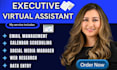 do long term personal excutive adminstrative virtual assistant web reseach
