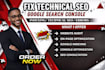 do technical seo, website audit, google search concole and indexing