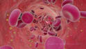 create 3d medical animation