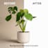 remove background and enhance product photos professionally