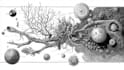 create scientific illustrations of your work
