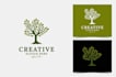 design tree logo in 1 day