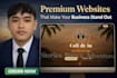 build a stunning premium website that elevates your business