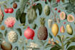 design awesome botanical plant illustration