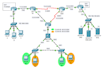 do cisco packet tracer labs and ccna projects