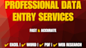 do excel data entry, web research and copy paste work