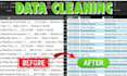 clean, analyze and organize large excel datasets professionally