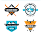 do modern skiing logo