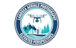 create awesome gorgeous dog and drone logo design