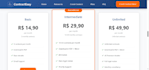 professional website developer  modern  and responsive design