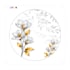 design print ready surface pattern for plates and dinnerware