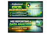 create professional excel reports, dashboards mis reporting