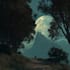 environment concept art landscape design