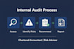 perform internal audit, risk assessment and internal control review