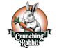 create wonderful excellent rabbit logo design