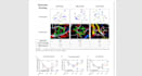 molecular docking using moe software
