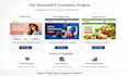 develop a modern wordpress woocommerce ecommerce website using elementor