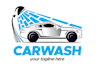 reate a unique and professional wash logo design
