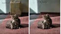 remove background and edit your photo professionally