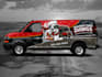 design powerful professional dawgs logo