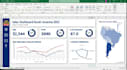 provide professional financial analysis and accounting