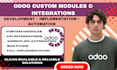 develop customize odoo modules integrations implementation odoo website seo