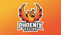 do amazing phoenix logo with new creative concepts