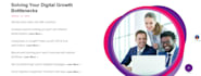 develop a professional custom web development, business website