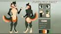 furry ref sheet, nsfw furry reference sheet, anthro ref sheet fursona oc design