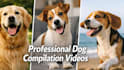 create monetizable cute funny pets compilation videos for youtube and facebook