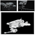 create detailed 3d mechanical or sci fi models