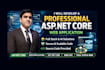 develop a professional asp net core web application