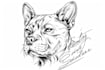 do stunning pet tattoo design in line art