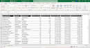 do excel data cleaning, formatting, sorting, merging,  remove