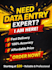 provide professional data entry and excel services