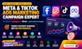 setup optimize tiktok facebook meta instagram ads marketing campaign manager