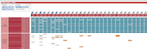 clean and structure data to create interactive and automated reports