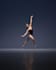 teach you ballet online